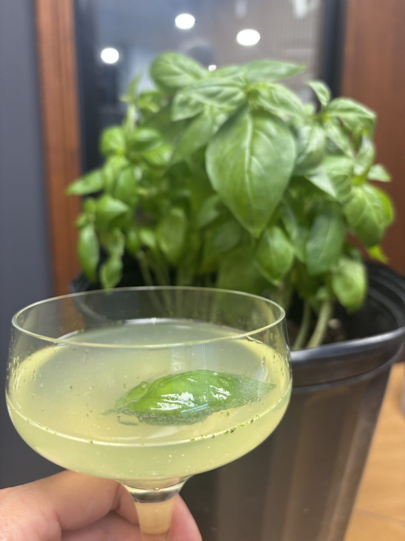 Comment préparer un Gin Basil Smash frais et aromatique avec Loumonade