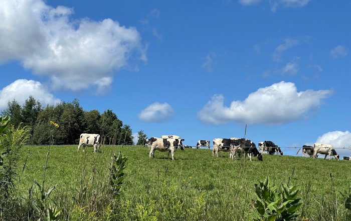 Guidon & Houblon attire près de 50 cyclistes dans la région de Coaticook
